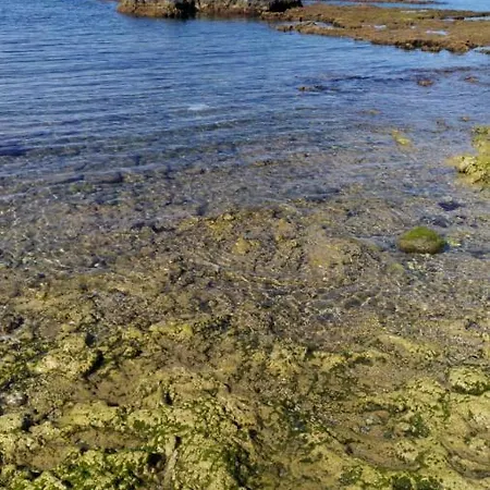 公寓式酒店 圣里奥假日公寓酒店 布里亚蒂科