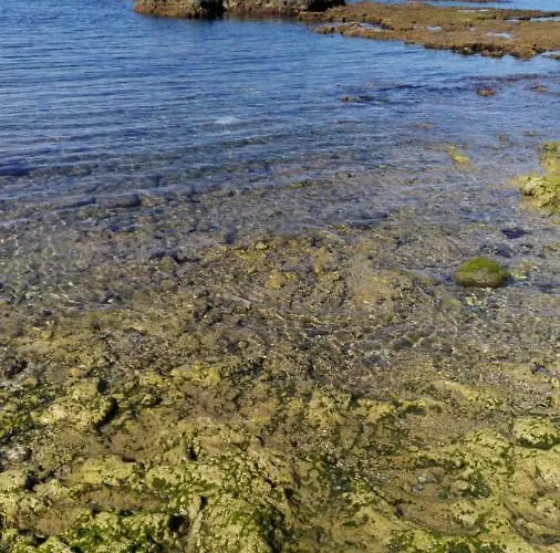 מלון דירות Residencesanleo בריאטיקו